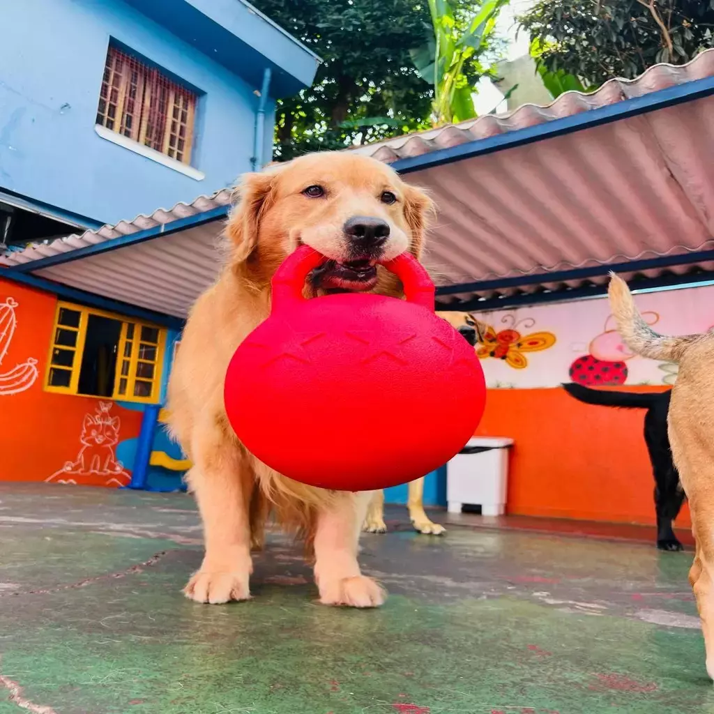 Bola Ultra Resistente Gigante-Super Ball- Jolly - Imagem 2