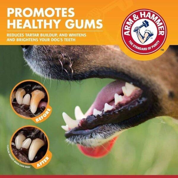 Pasta de Dentes para Cães Clinical Gum Health- Sabor Frango -67,5 gramas. - Imagem 2