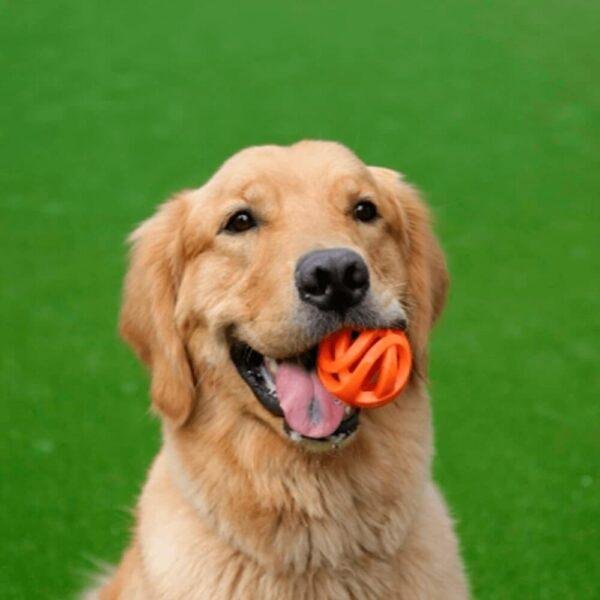 Bola Chuckit Air Fetch Ball- Para Cães - Imagem 2
