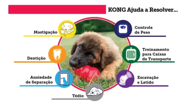 Kong Extreme Large - Imagem 5