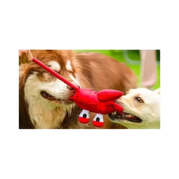 Pelúcia Sr Carangueijo com Corda - Petta - Imagem 2