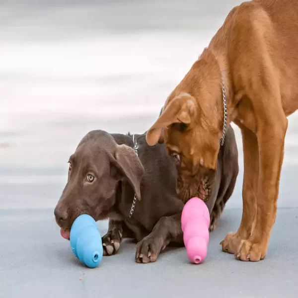 Kong Puppy Large - Imagem 5