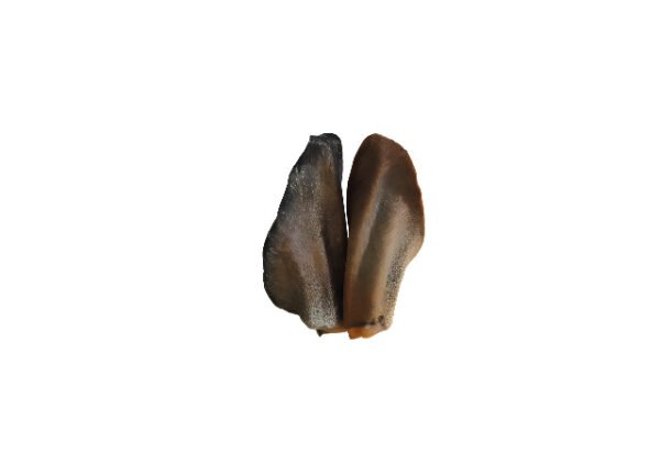 Orelha Bovina Desidratada- Alecrim Pet-3 unidades - Imagem 3