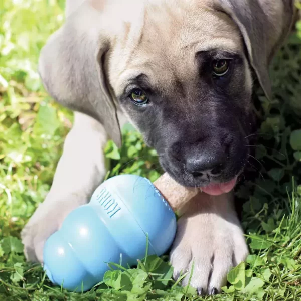 Kong Puppy Large - Imagem 2