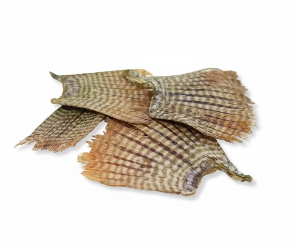 Rabinho de Peixe 60g – Petisco Natural Desidratado- Pet Bem - Imagem 2