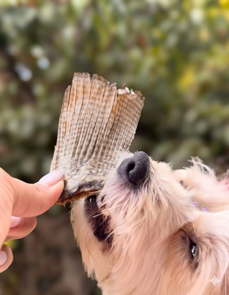 Rabinho de Peixe 60g – Petisco Natural Desidratado- Pet Bem - Imagem 4