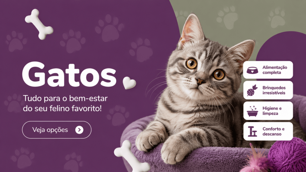 gatos